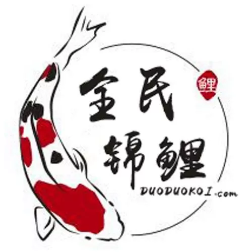 锦鲤多多免广告