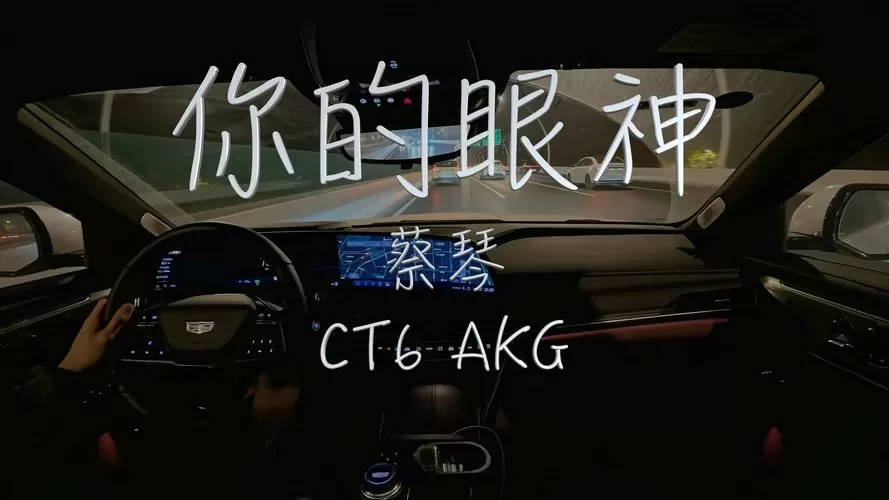 有一首歌里边有“你的眼睛”