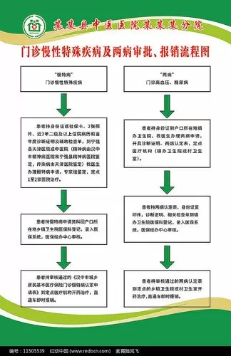 河北特病申办流程