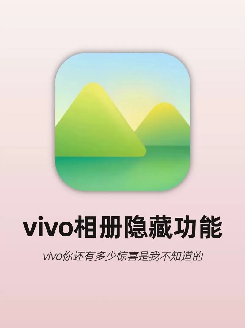 vivo手机有没有私密相册