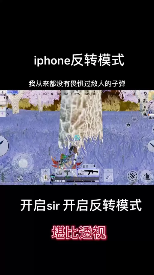 和平精英画面怎么反转