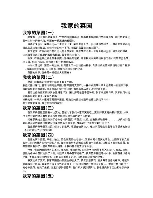 我家的小菜园300字作文