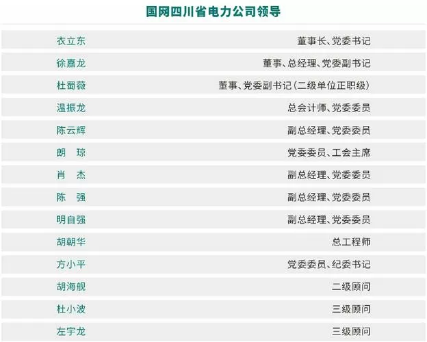 四川电力公司领导排名