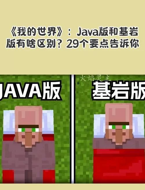 我的世界怎么分辨基岩版还是java版