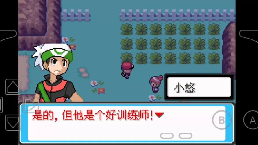 口袋妖怪最终的火红4.0.3