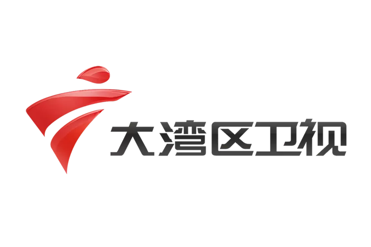 V是大湾区下载