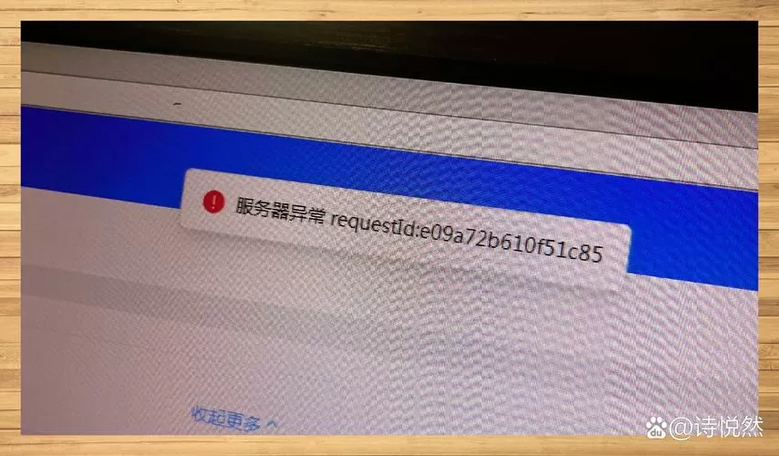 电子税务局无法打开