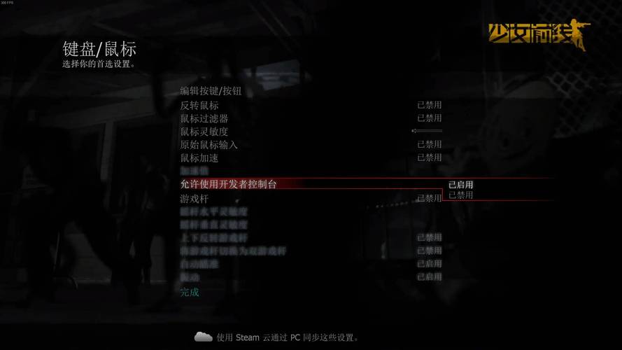 求生之路2怎么开控制台