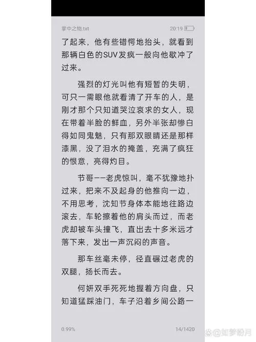 掌中之物未删减完整版