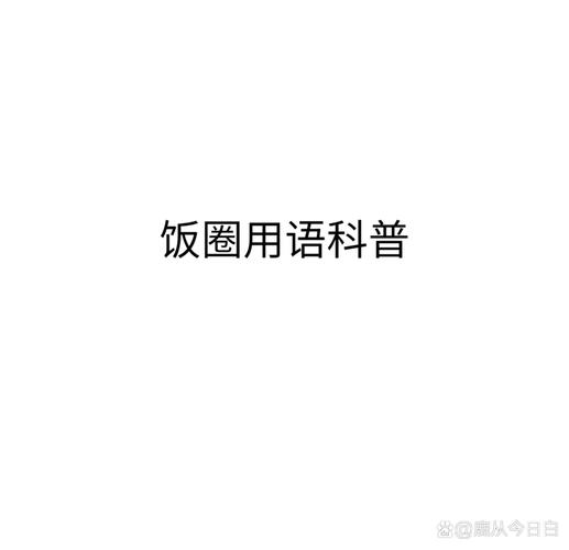 饭圈怎么解释