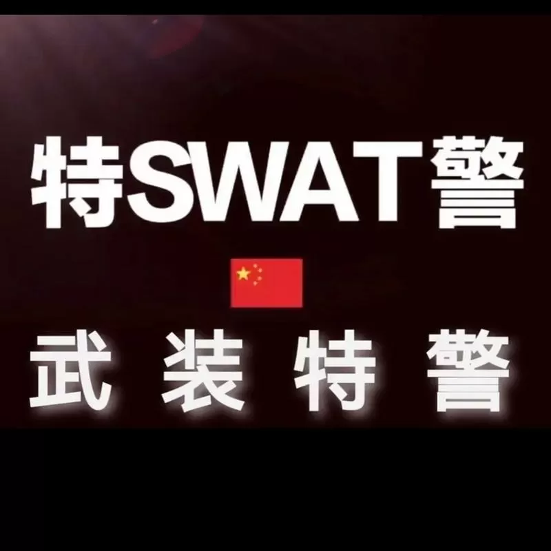 中国特警游戏模拟器