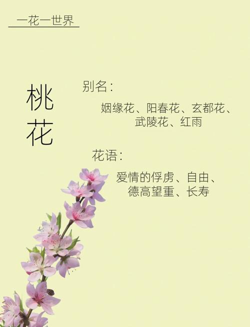 桃花电视剧剧情介绍