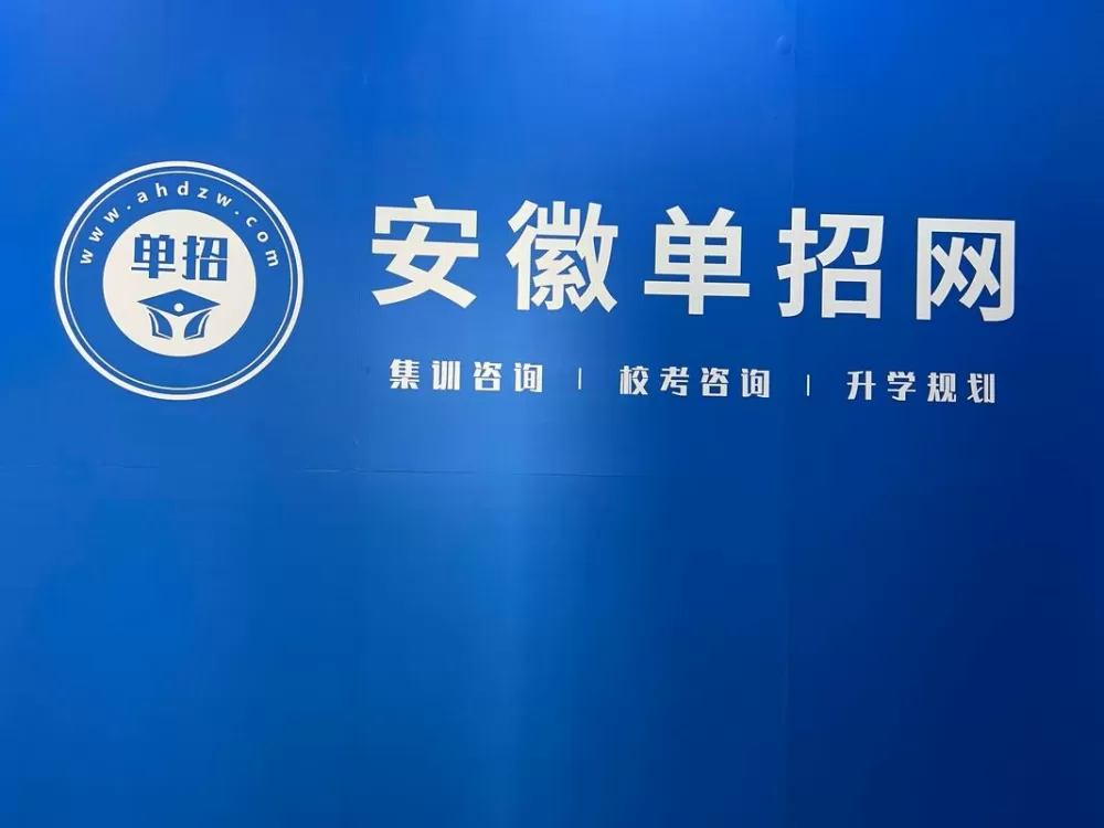 2025年安徽招生网截图