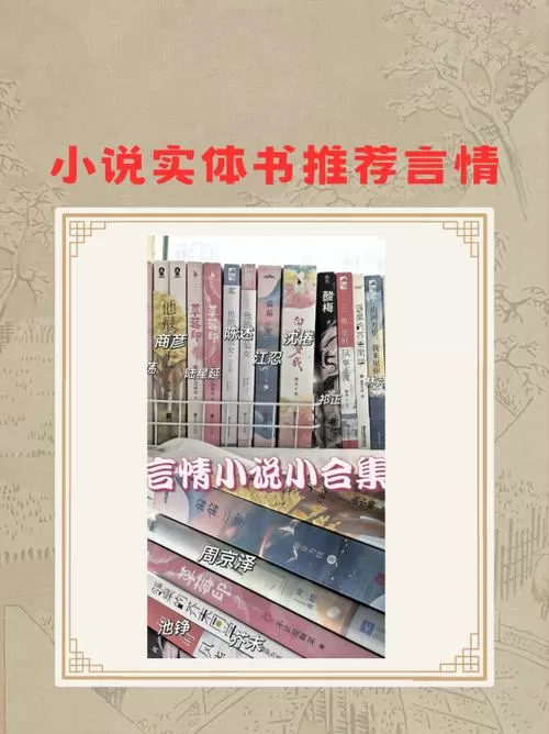 好看的小说实体书推荐言情