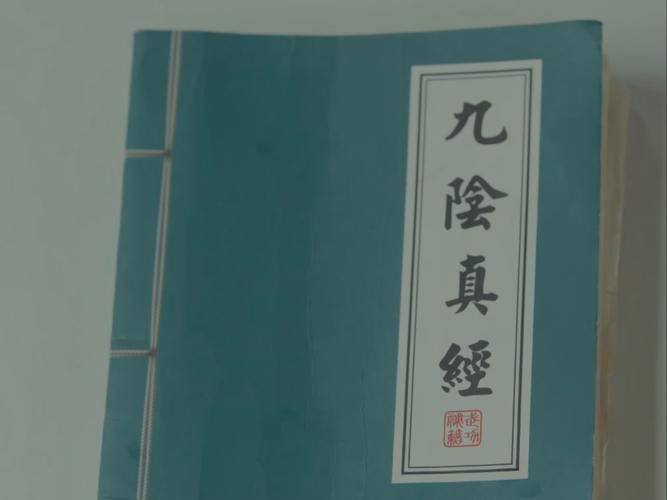 九阴真经四大世家内功