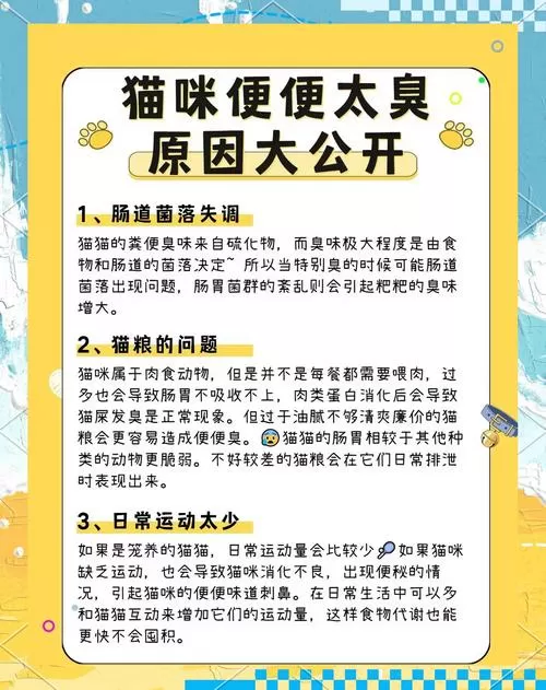 猫屎臭是什么原因