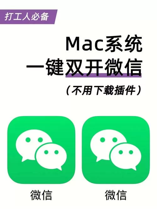 双开插件