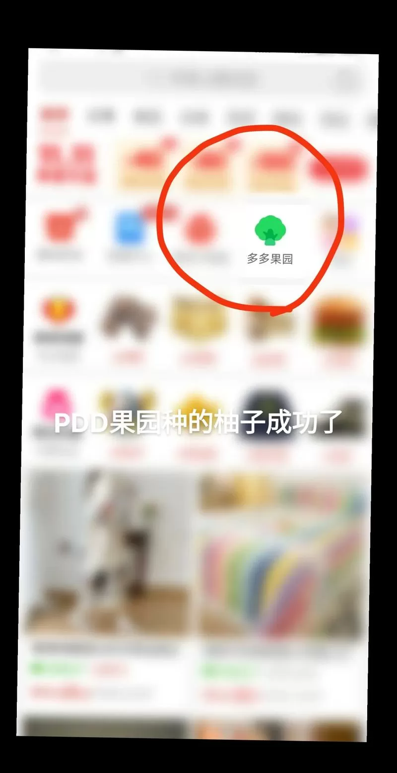 拼多多农场怎么没有vip了