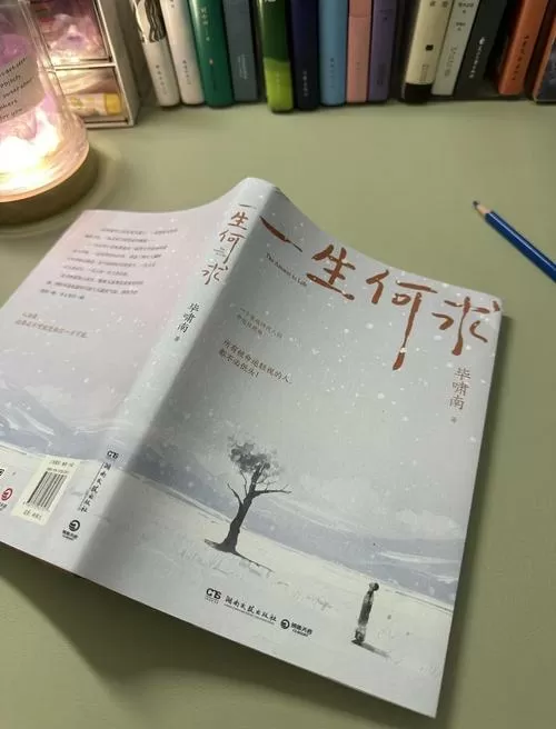 一生何求张婉小说免费阅读
