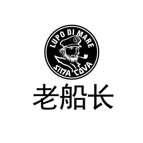 老船长脚本购买入口