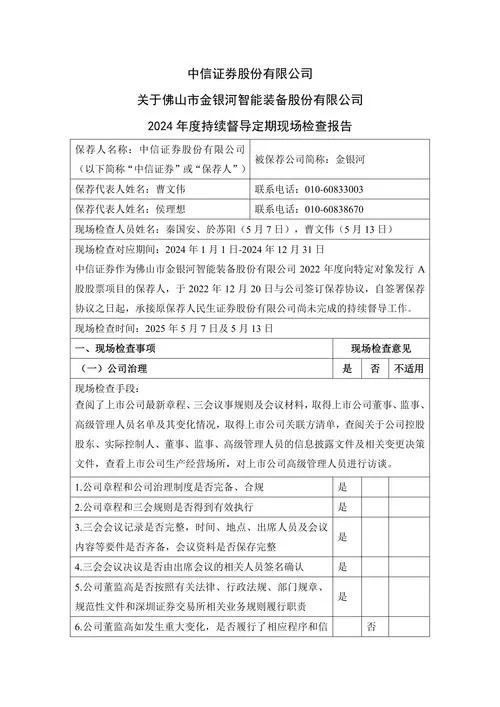 现场检查报告