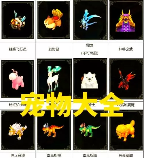 自由幻想宠物升级攻略