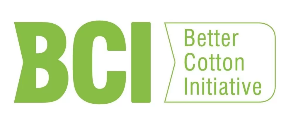 BCI数据