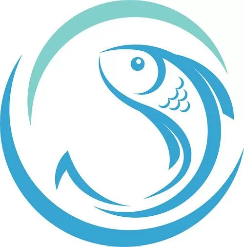 陕西小酷鱼