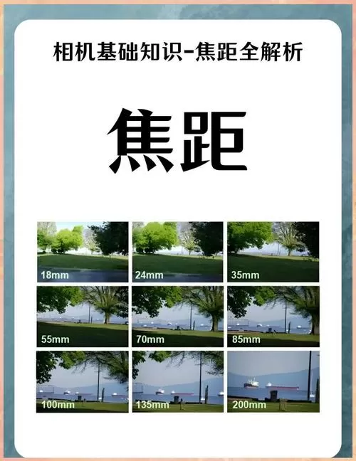 焦距越大拍的越远吗