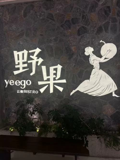 金银果树10级果实攻略