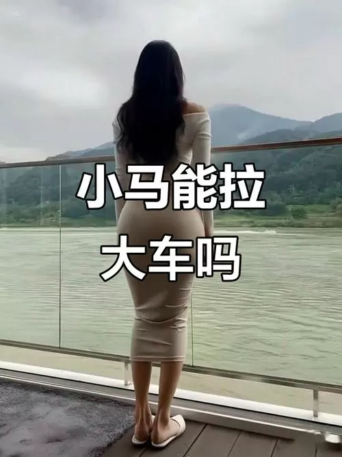 稀缺小马拉大车妈妈视频