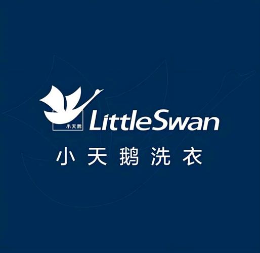 十大公认最好用洗衣机