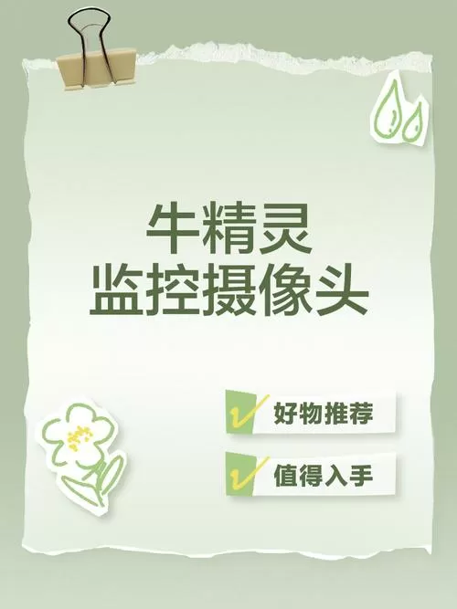 牛精灵摄像头为什么打不开