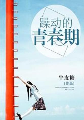 躁动的青春小说在线