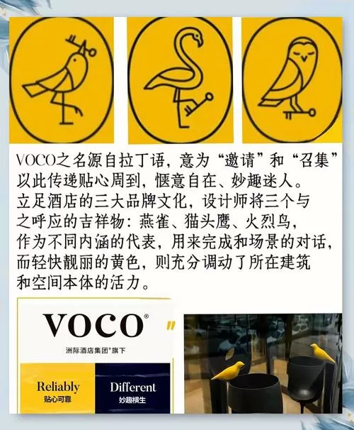 enco什么意思中文翻译