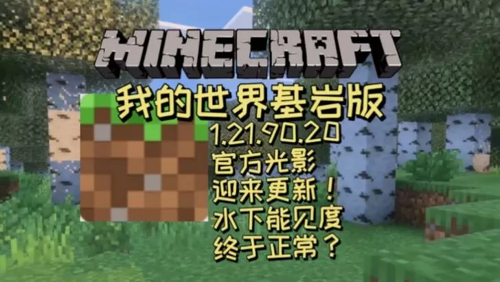 我的世界基岩版自带光影