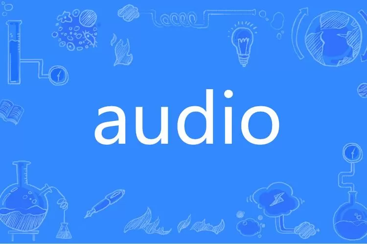AUDIO是啥意思