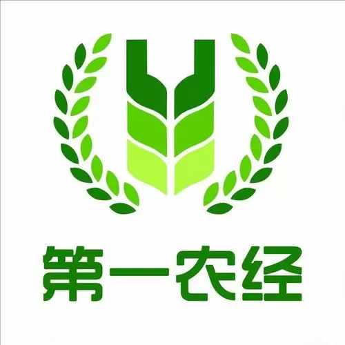 包地种粮食挣钱吗
