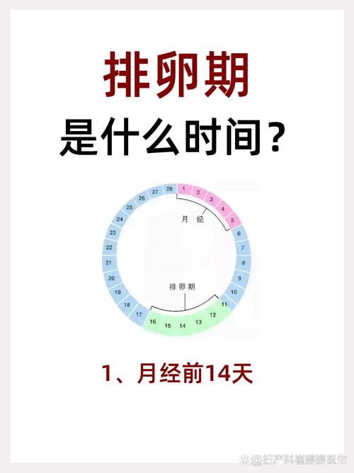 女性排卵期是什么时候
