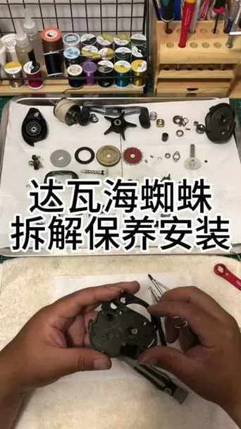 海蜘蛛安装教程