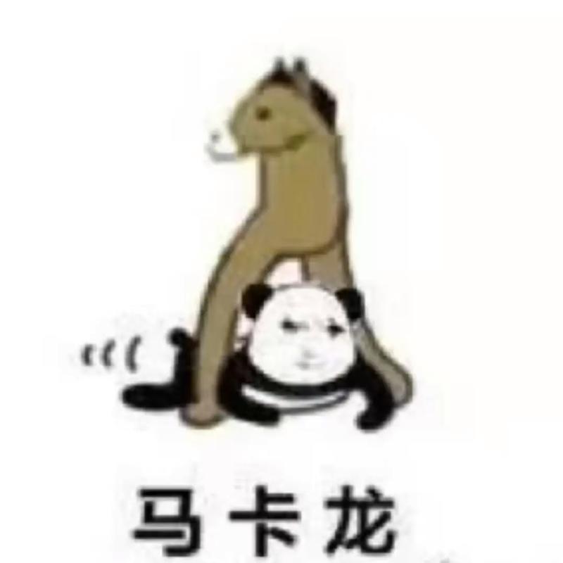 龙图猎马表情包