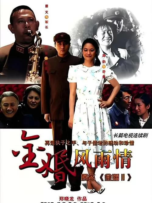 金婚风雨情剧情简介