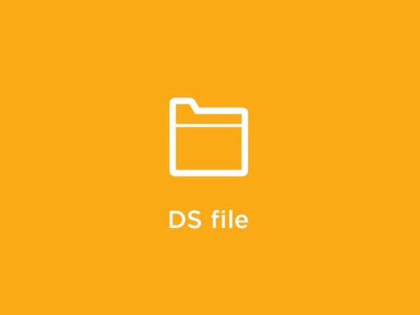ds file windows