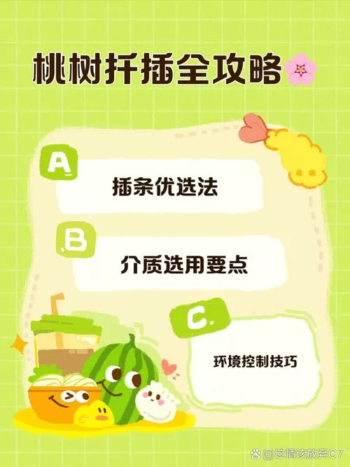 桃树扦插快速繁育方法