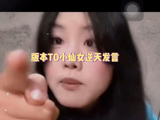 小仙女版本T0表示什么含义