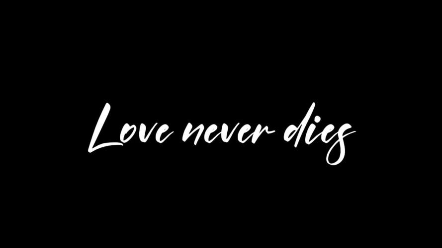 love never end下载
