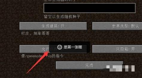 我的世界防掉落的指令