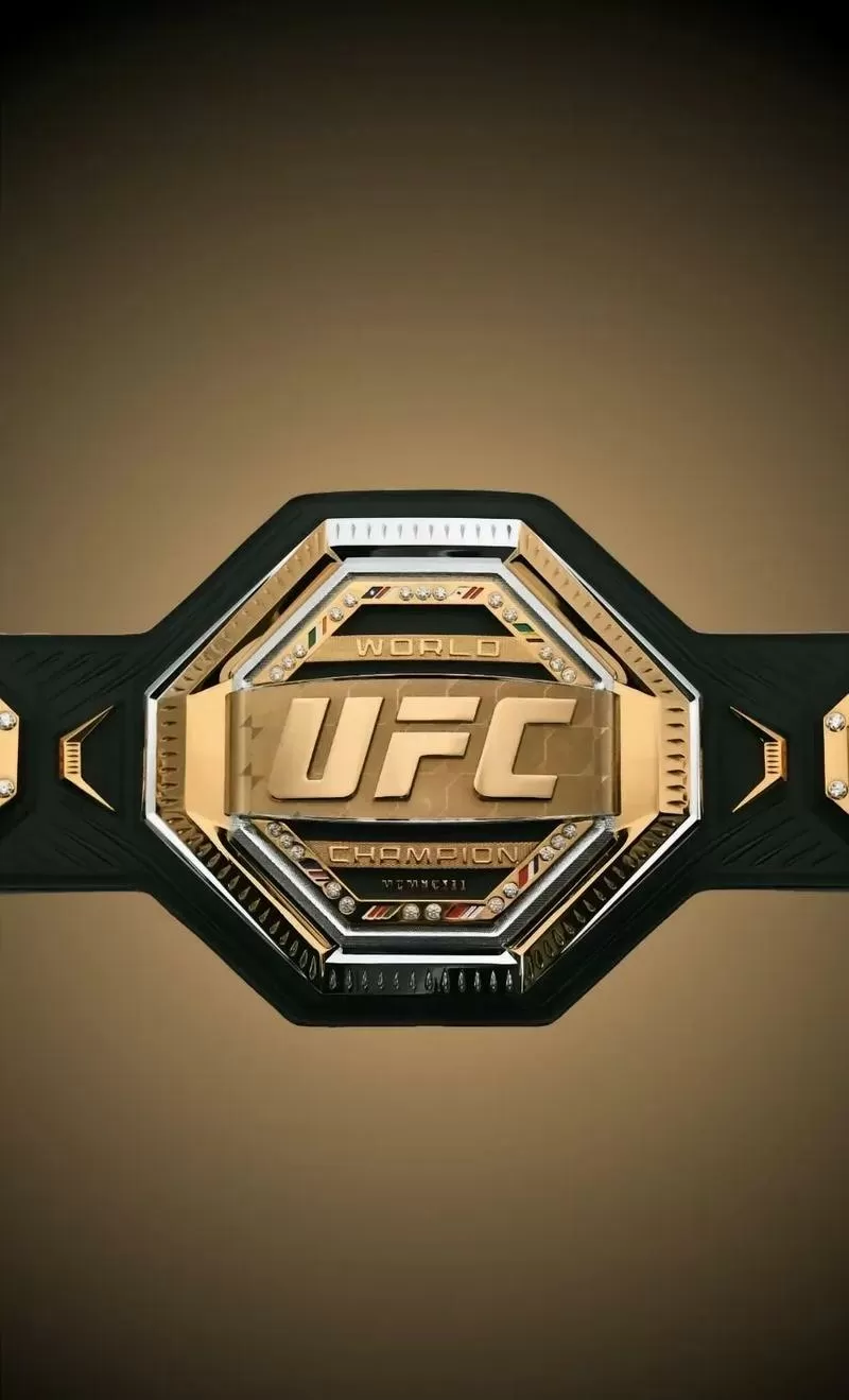 ufc手机版游戏中文版