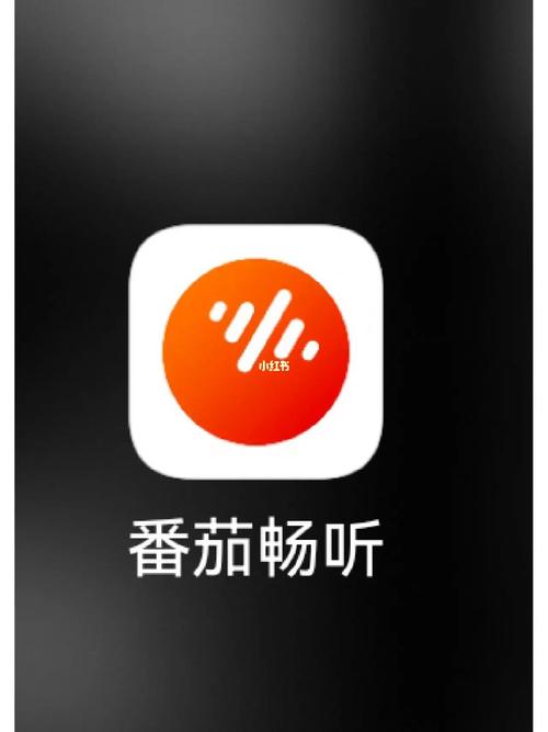 番茄音乐TV电视版