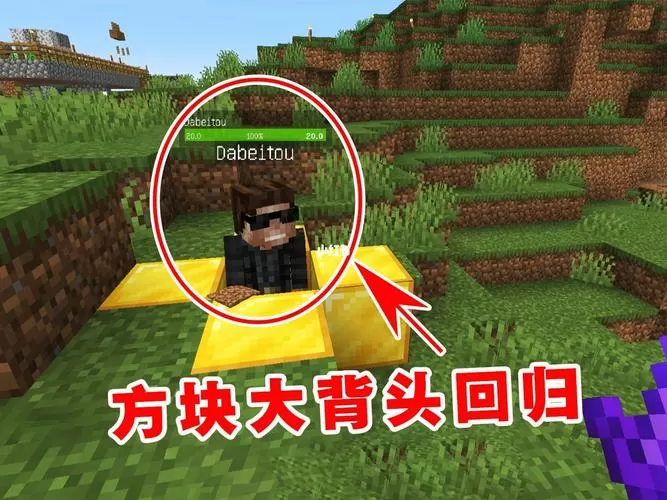 方块大背头我的世界